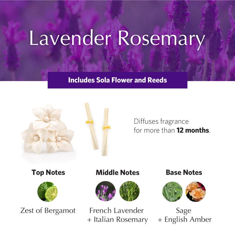 AGRARIA AirEssence Flower and Reed Diffuser Set  Hand Crafted Sola Flower Botanical Home Fragrance Diffuser  Scented Oil Reed Diffuser  Flower and Reed Diffuser Gift Set for All Occasions - Image 3